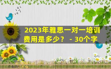 2023年雅思一对一培训费用是多少？ - 30个字